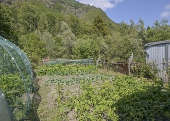 Lemie 0-20.jpg - Appartamento via torino 4, Lemie - foto 22