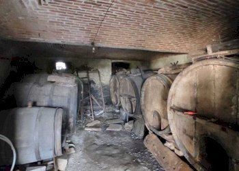 Immagine WhatsApp 2025-08-04 ore 11.44.00_ebfb5277 - Terratetto - Terracielo via della Villa 10, Loranzè - foto 22