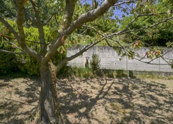 Borgiallo 0-10.jpg - Villa via luinengo cossi 61, Borgiallo - foto 10