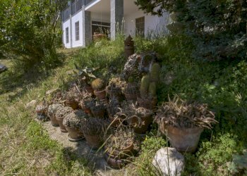 Borgiallo 0-15.jpg - Villa via luinengo cossi 61, Borgiallo - foto 15