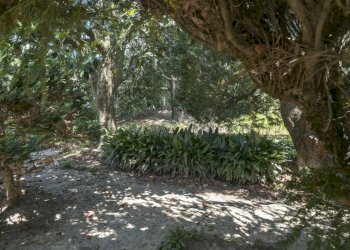 Strambino-13.jpg - Villa via IV Novembre 22, Strambino - foto 14