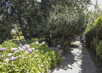 Strambino-14.jpg - Villa via IV Novembre 22, Strambino - foto 15