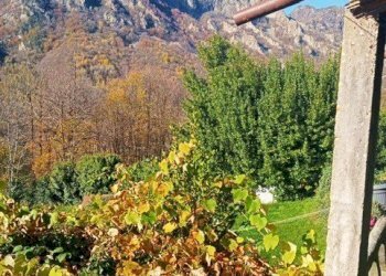 PHOTO-2024-11-05-12-21-31.jpg - Rustic Borgata Serre, Perosa Argentina - photo 9