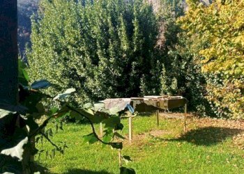 PHOTO-2024-11-05-12-21-51 (3).jpg - Rustic Borgata Serre, Perosa Argentina - photo 11