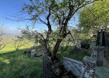 IMG_0925.jpg - Villa Viano - foto 8