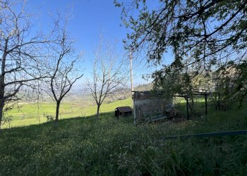 IMG_0969.jpg - Villa Viano - foto 29