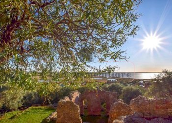 456592257.jpg - Porzione di casa Massarosa - foto 2