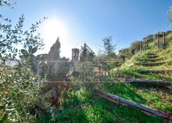 456592267.jpg - Porzione di casa Massarosa - foto 6