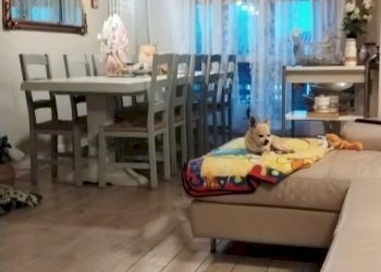 1316157-csdb495gz.jpg - Appartamento Carrara - foto 1