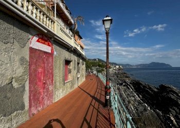 IMG_20241209_104540.jpg - Locale Commerciale Passeggiata Anita Garibaldi, Genova - foto 7