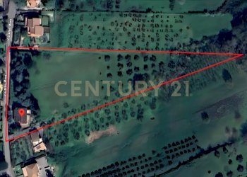 Villa e Terreni - Villa Via Aldo Moro 36, Morlupo - photo 2