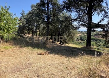 20250715_105343.jpg - Villa Via Aldo Moro 36, Morlupo - photo 10