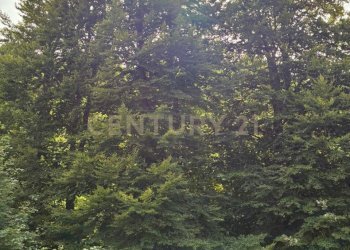 cappadocia-villino-affaccio.jpg - Casa indipendente Via morbano, Cappadocia - foto 7