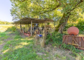 barbaranoromano-casale-esterno.jpg - Casale località san quirichello, Barbarano Romano - foto 22