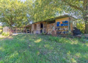 barbaranoromano-casale-esterno.jpg - Casale località san quirichello, Barbarano Romano - foto 24