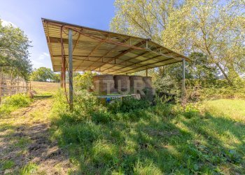 barbaranoromano-casale-esterno.jpg - Casale località san quirichello, Barbarano Romano - foto 25