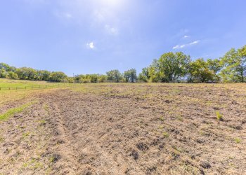 barbaranoromano-casale-terreno.jpg - Casale località san quirichello, Barbarano Romano - foto 27