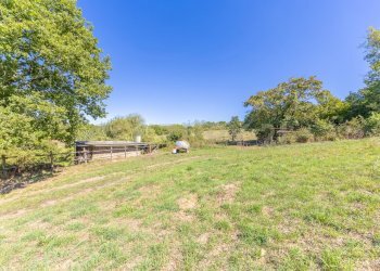 barbaranoromano-casale-terreno(3).jpg - Casale località san quirichello, Barbarano Romano - foto 30