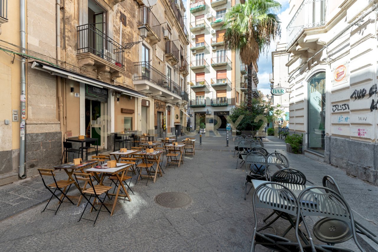 Storia Vera (2).jpg - Pub - Enoteca - Wine Bar Via Gemmellaro 61, Catania - foto 2