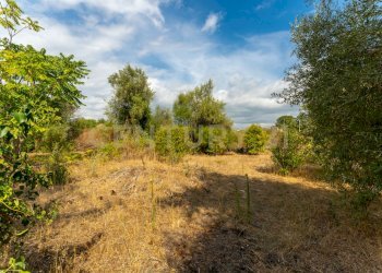 Via Pulei 25 (11).jpg - Villa Via Pulei 25, Mascalucia - foto 18