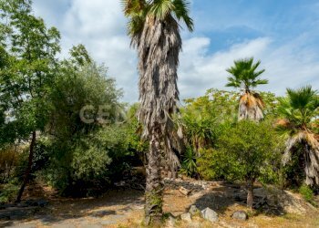 Via Pulei 25 (18).jpg - Villa Via Pulei 25, Mascalucia - foto 24