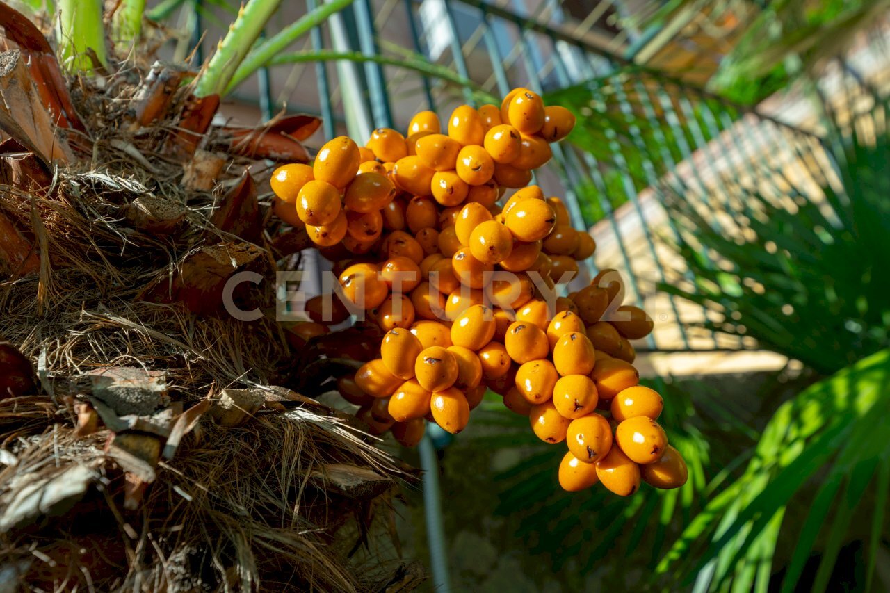 Appartamento 003 (5).jpg - Villa Contrada Arcile 1, Augusta - photo 3