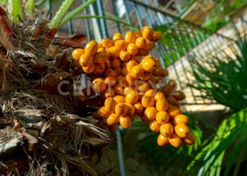 Appartamento 003 (5).jpg - Villa Contrada Arcile 1, Augusta - foto 3