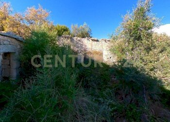 Rustici-e-terrenoi-in-Valle-dell-Ippari-Ragusa--Ph - Rustico Via dei Tulipani 21, Ragusa - foto 8