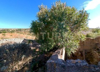 Rustici-e-terrenoi-in-Valle-dell-Ippari-Ragusa--Ph - Rustico Via dei Tulipani 21, Ragusa - foto 9