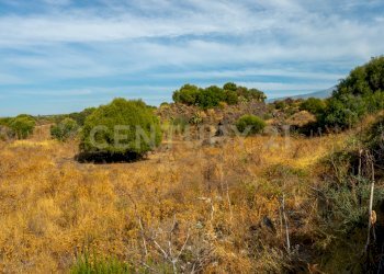 Terreno Belpasso Piano Tavola (9).jpg - Terreno edificabile Vicinanze DAIS, Belpasso - foto 5