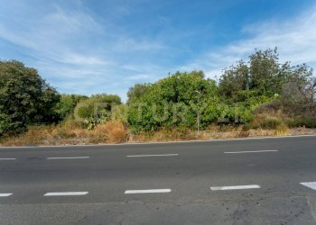 Terreno Belpasso Piano Tavola (2).jpg - Terreno edificabile Vicinanze DAIS, Belpasso - foto 14