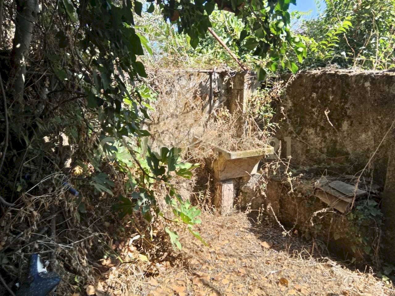 IMG-20250827-WA0087.jpg - Rustic Via Maugeri 12, Valverde - photo 3