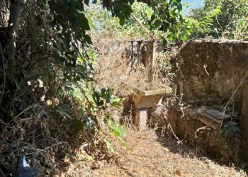 IMG-20250827-WA0087.jpg - Rustico Via Maugeri 12, Valverde - foto 3