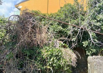 IMG-20250827-WA0088.jpg - Rustico Via Maugeri 12, Valverde - foto 4