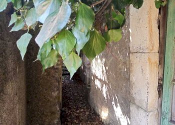 IMG-20250827-WA0093.jpg - Rustico Via Maugeri 12, Valverde - foto 6