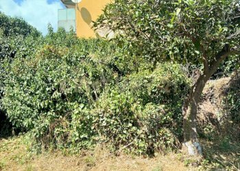 IMG-20250827-WA0126.jpg - Rustico Via Maugeri 12, Valverde - foto 15