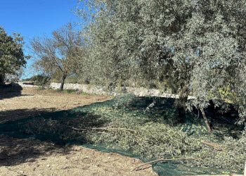 WhatsApp Image 2025-11-12 at 17.38.50.jpeg - Rustico strada provinciale 104, Modica - foto 1