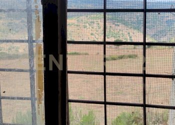 IMG_20250621_123533.jpg - Villa SS115, km 323, Ragusa - foto 6