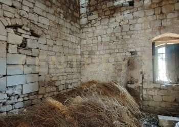 IMG_20250621_123934.jpg - Villa SS115, km 323, Ragusa - foto 12