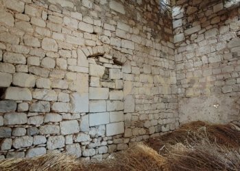 IMG_20250621_123940.jpg - Villa SS115, km 323, Ragusa - foto 13