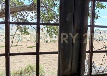 IMG_20250621_123957.jpg - Villa SS115, km 323, Ragusa - foto 14