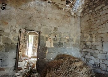 IMG_20250621_124010.jpg - Villa SS115, km 323, Ragusa - foto 15