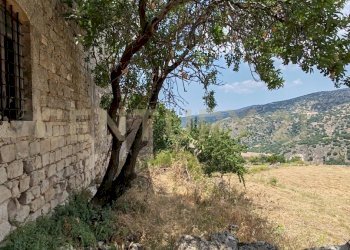 IMG_20250621_124231.jpg - Villa SS115, km 323, Ragusa - foto 16