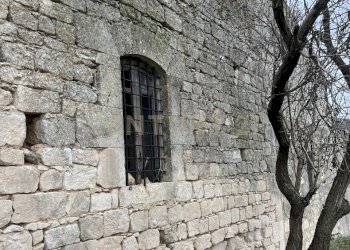 IMG_7285.jpg - Villa SS115, km 323, Ragusa - foto 20