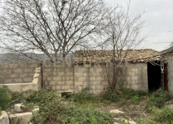 IMG_7322.jpg - Villa SS115, km 323, Ragusa - foto 22