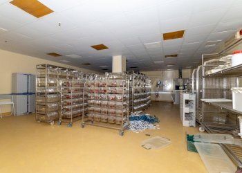 Zona Industriale CT (25).jpg - Locale Commerciale Strada III Mimosa 14, Catania - foto 26