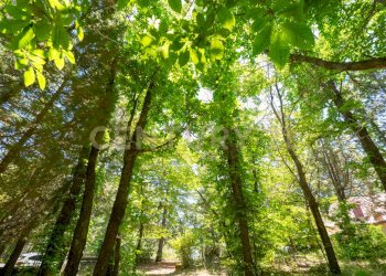 Villa Linguaglossa (9).jpg - Villa Strada Regionale Mareneve SNC, Linguaglossa - foto 9