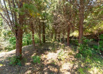 Villa Linguaglossa (21).jpg - Villa Strada Regionale Mareneve SNC, Linguaglossa - foto 21