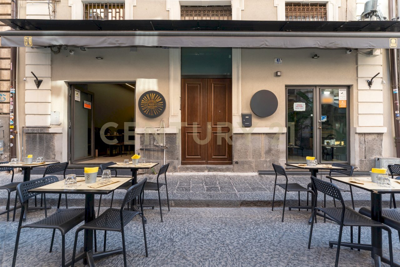 Via Gemmellaro 47 ct (2).jpg - Restaurant Via Gemmellaro 47/A, Catania - photo 2