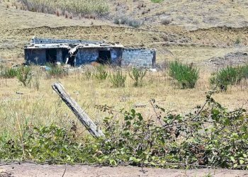 IMG-20240719-WA0156.jpg - Villa Trifamiliare Via Fossa della Creta sn, Catania - foto 11